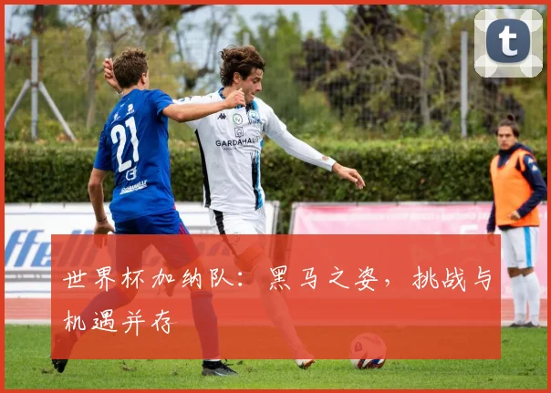 世界杯加纳队：黑马之姿，挑战与机遇并存