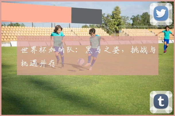 世界杯加纳队：黑马之姿，挑战与机遇并存